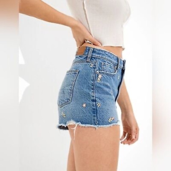 American Eagle Floral Dainty Embroidered Denim Shorts - Picture 1 of 11